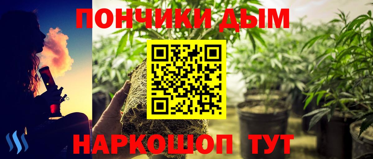 Каннабис Amnesia Подольск